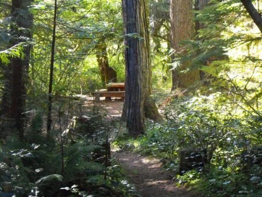 Secluded campsites