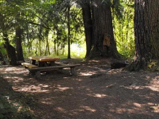 Picnic table and fire ring in each site