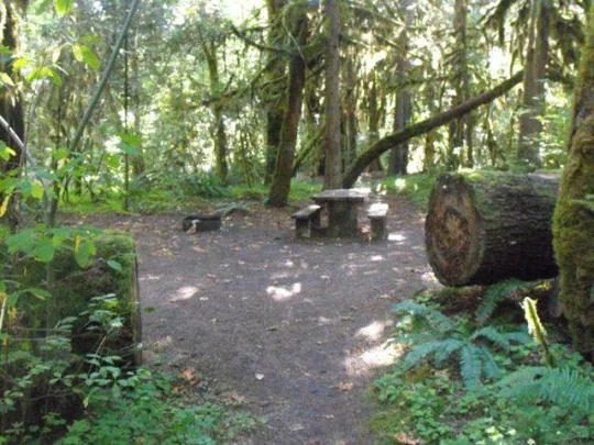 McKenzie Bridge Campground east of Eugene, Oregon