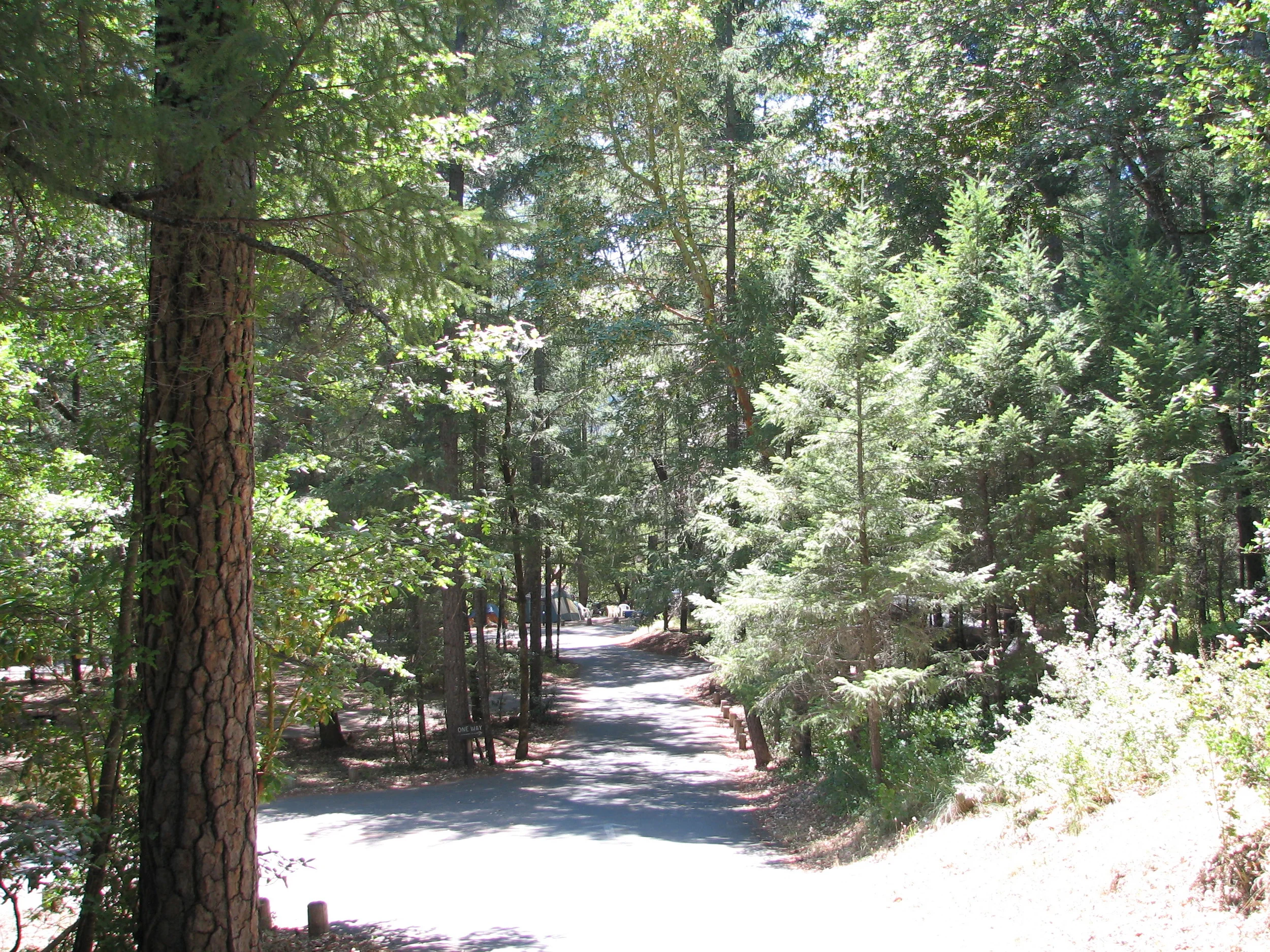 American Land & Leisure Trout Creek Campground on the Eel River near