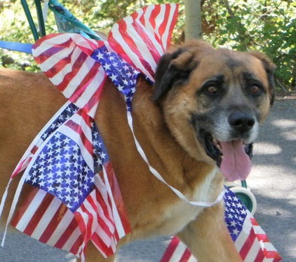 Memorial Day parade