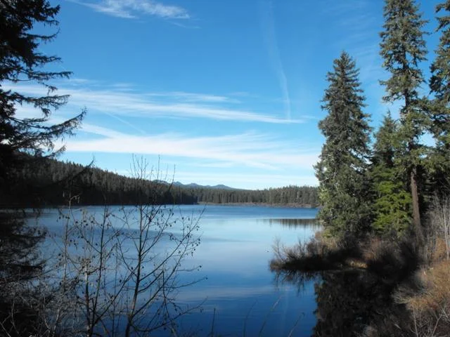 Cold Water Cove Campground near McKenzie Bridge, OR - virtual tour