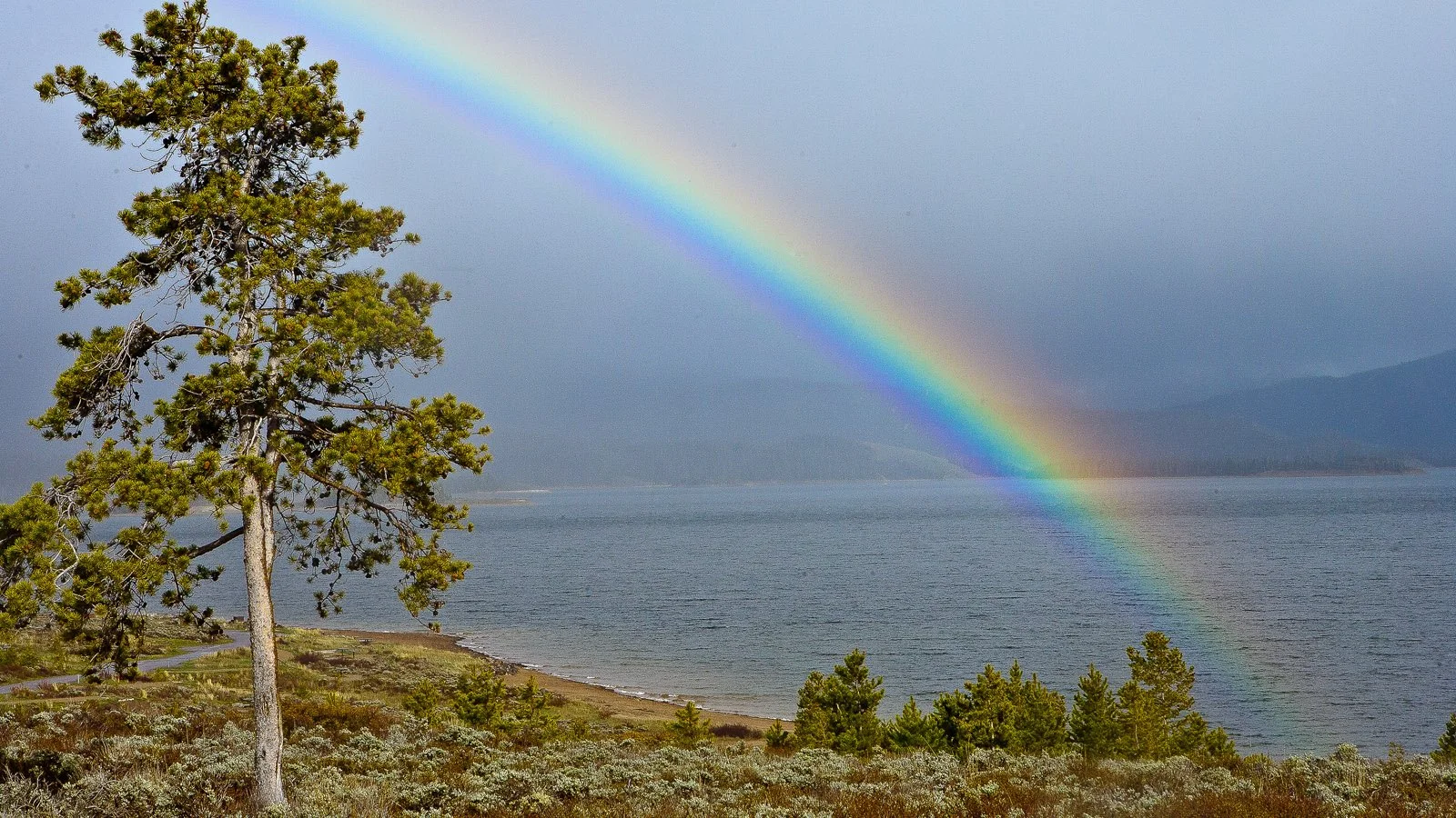 Rainbows are common