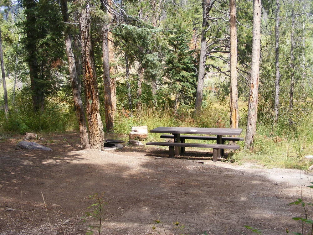 Shingle Creek Campground, Mirror Lake Highway, near Kamas, UT