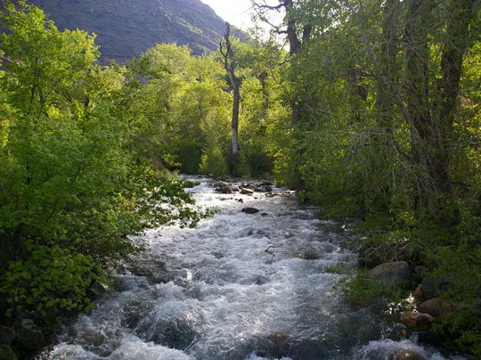 Dogwood Day Use, Big Cottonwood Canyon, Utah