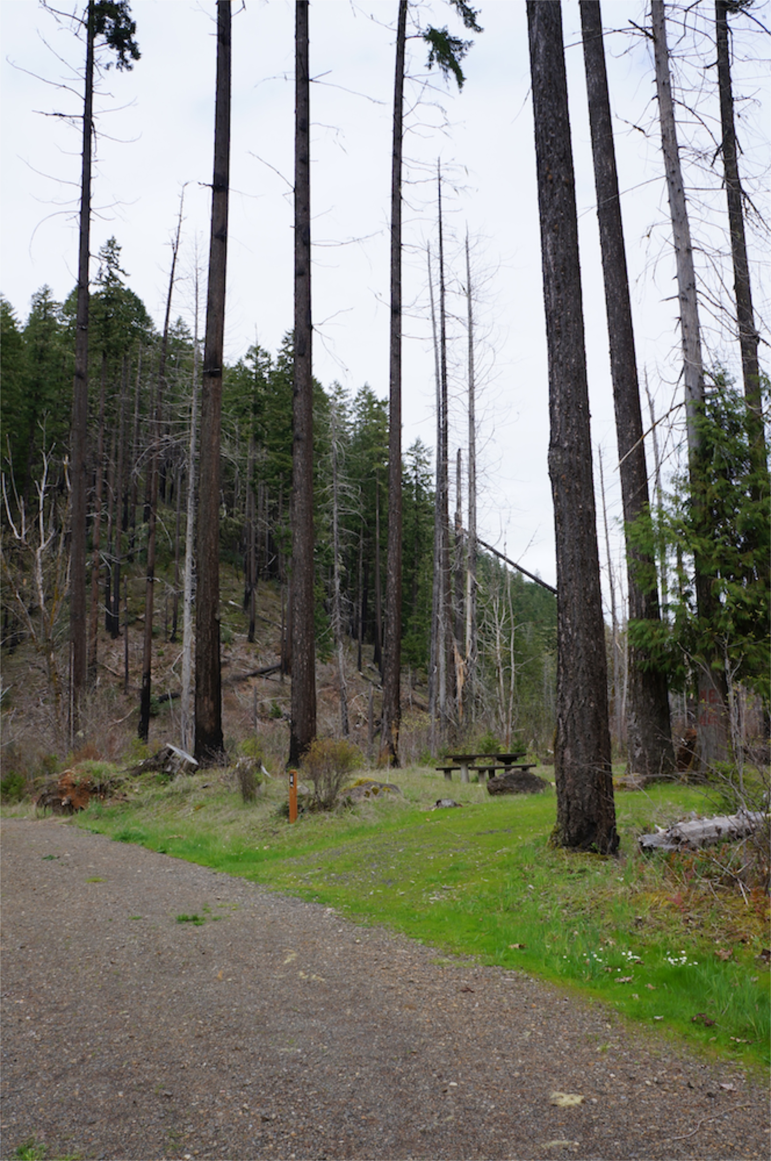 American Land & Leisure Bedrock Campground near Lowell, Oregon, Fall Creek Drainage