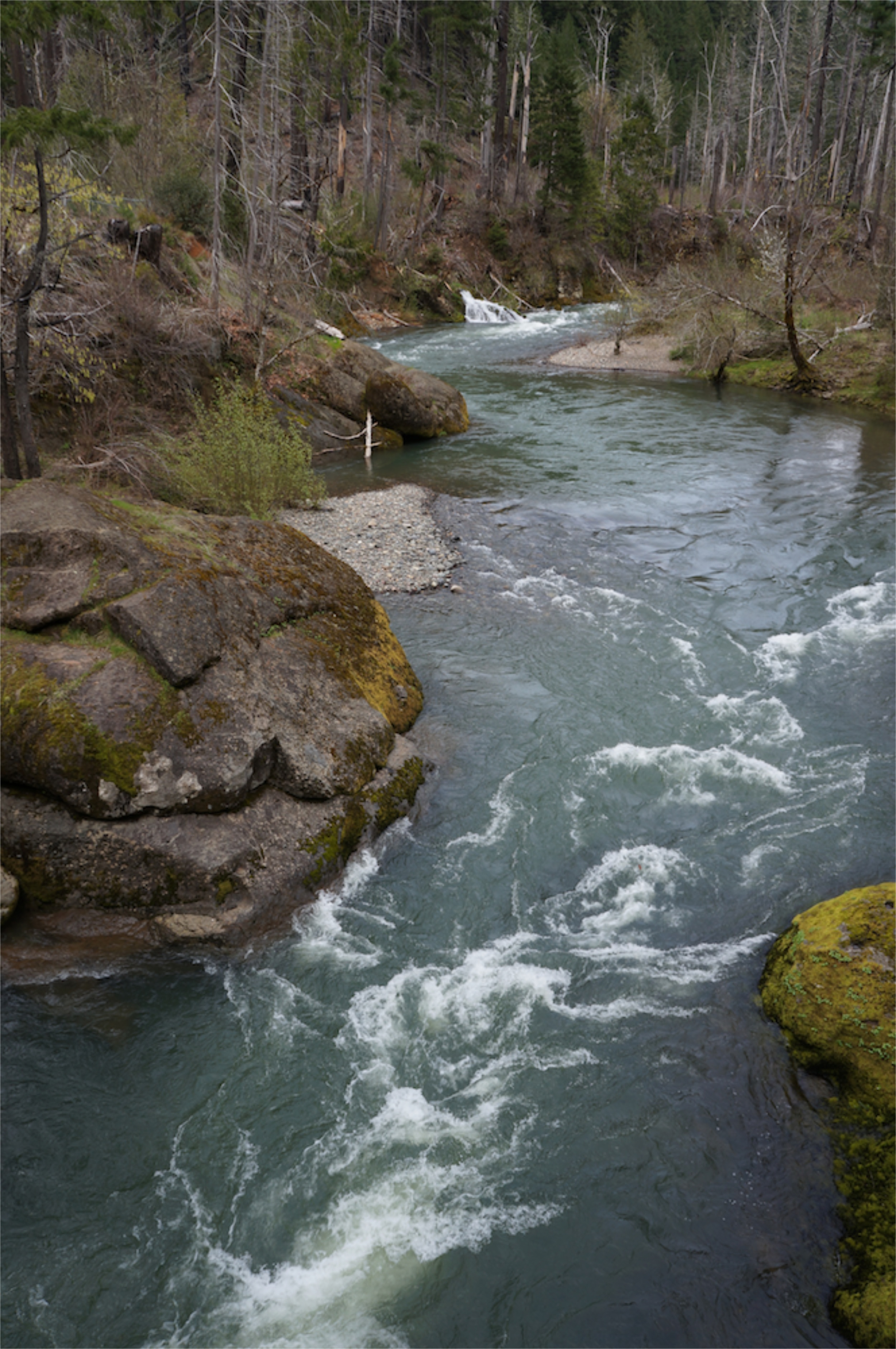 Overlooking Fall Creek