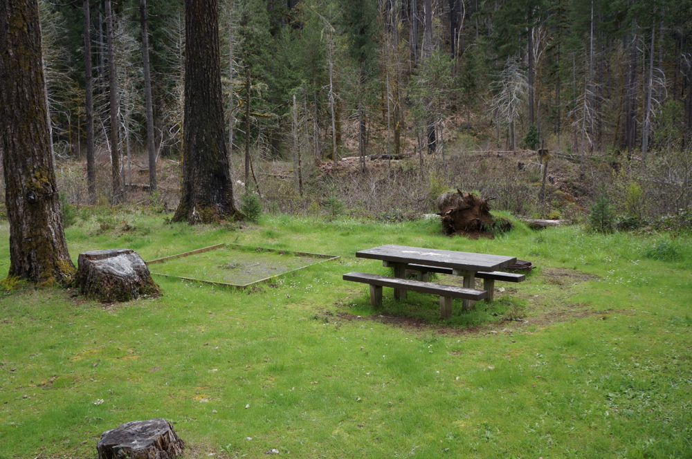 Campsites have picnic table, fire ring and tent site