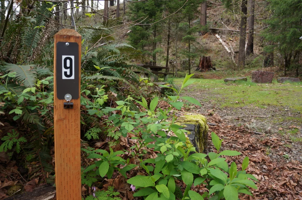 Bedrock Campground near Lowell, Oregon, Fall Creek Drainage