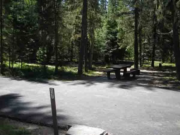 Labor Day Camping for the Procrastinator