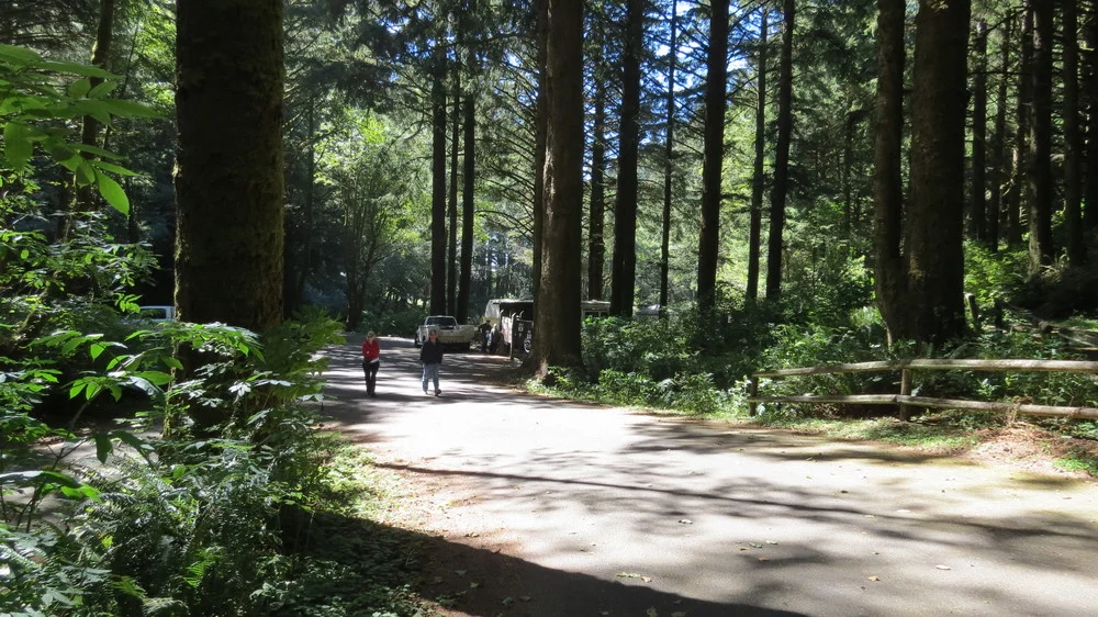 Rock Creek Campground, Central Coast, Oregon