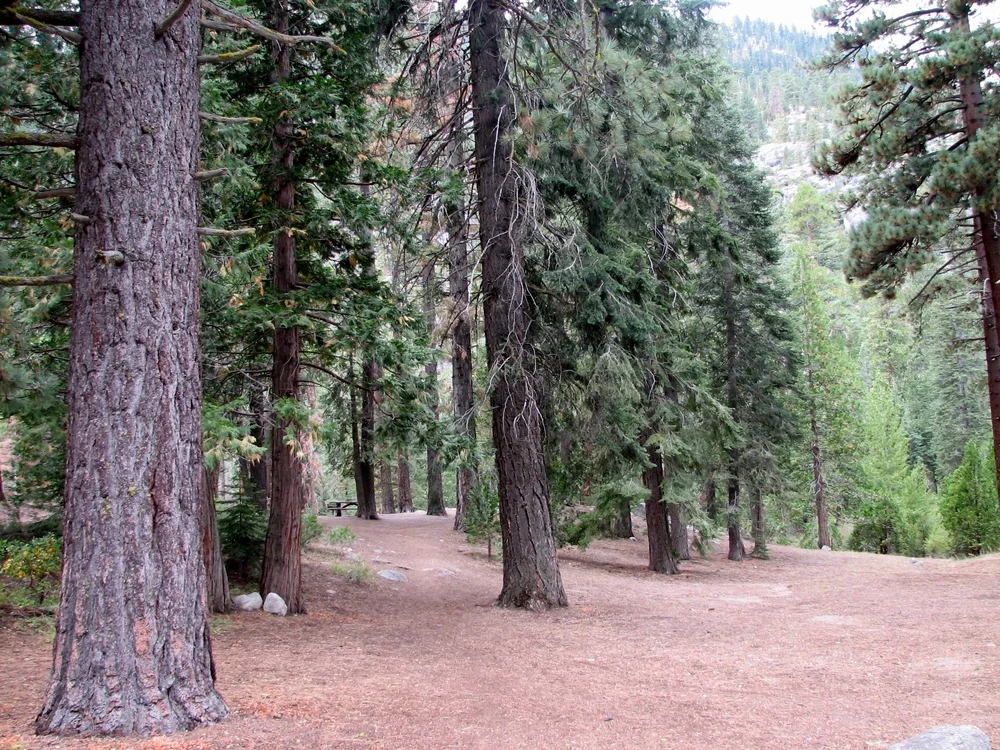 Baker Campground in Kennedy Meadows, California