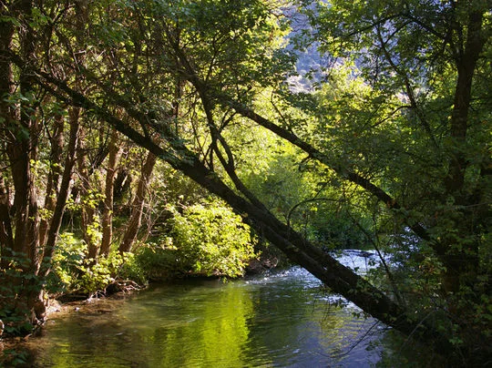 Friendship Campground, in Blacksmith Fork Canyon, near Hyrum, Utah