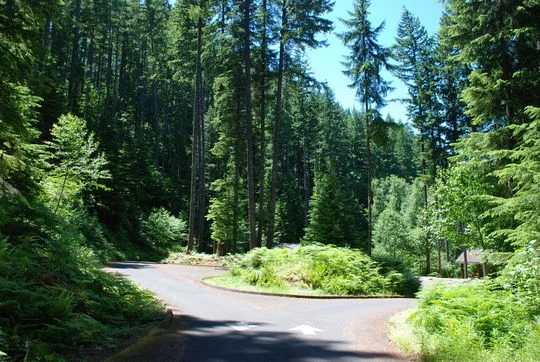 Cove Creek Campground on Detroit Lake, Oregon