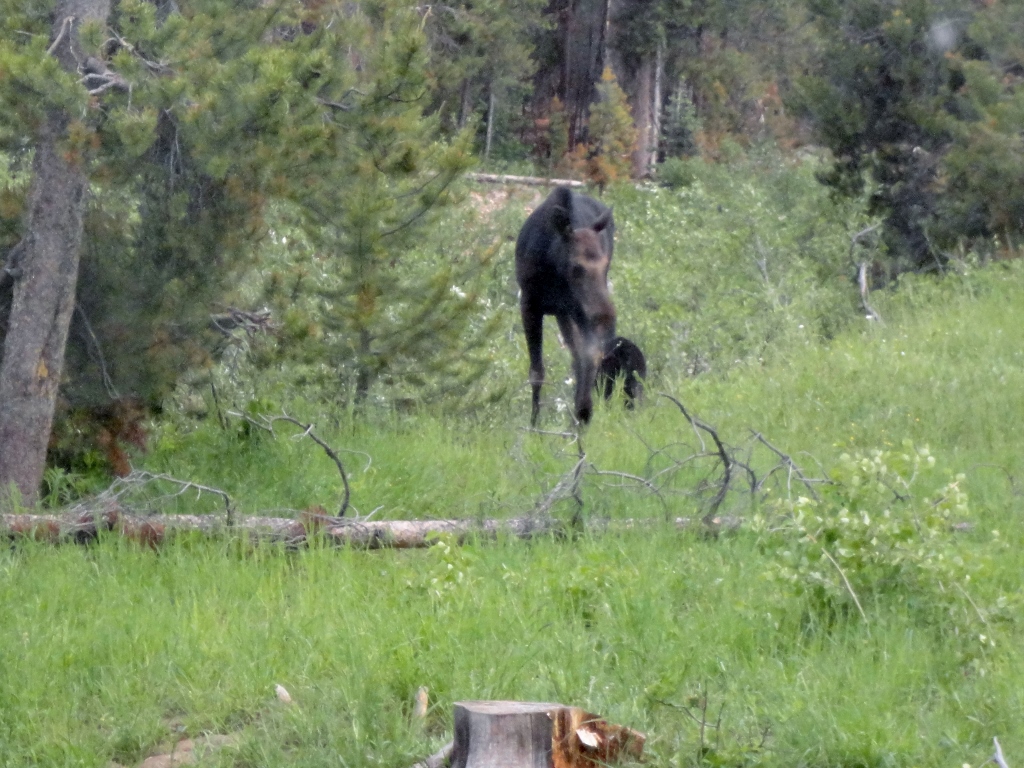Shady Dell Campground on Mirror Lake Highway, Utah