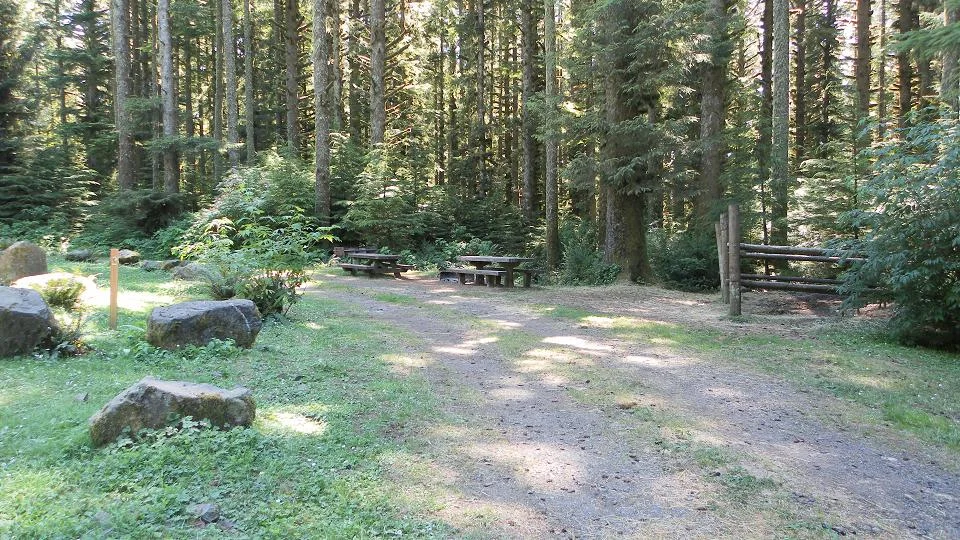 Horse Creek Campground, Central Coast, Oregon