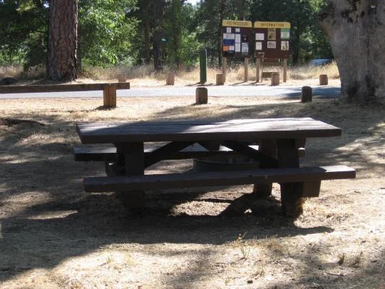 The Pines Campground near Yosemite National Park