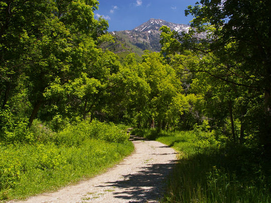 Rock Canyon Group Campground near Squaw Peak, Utah