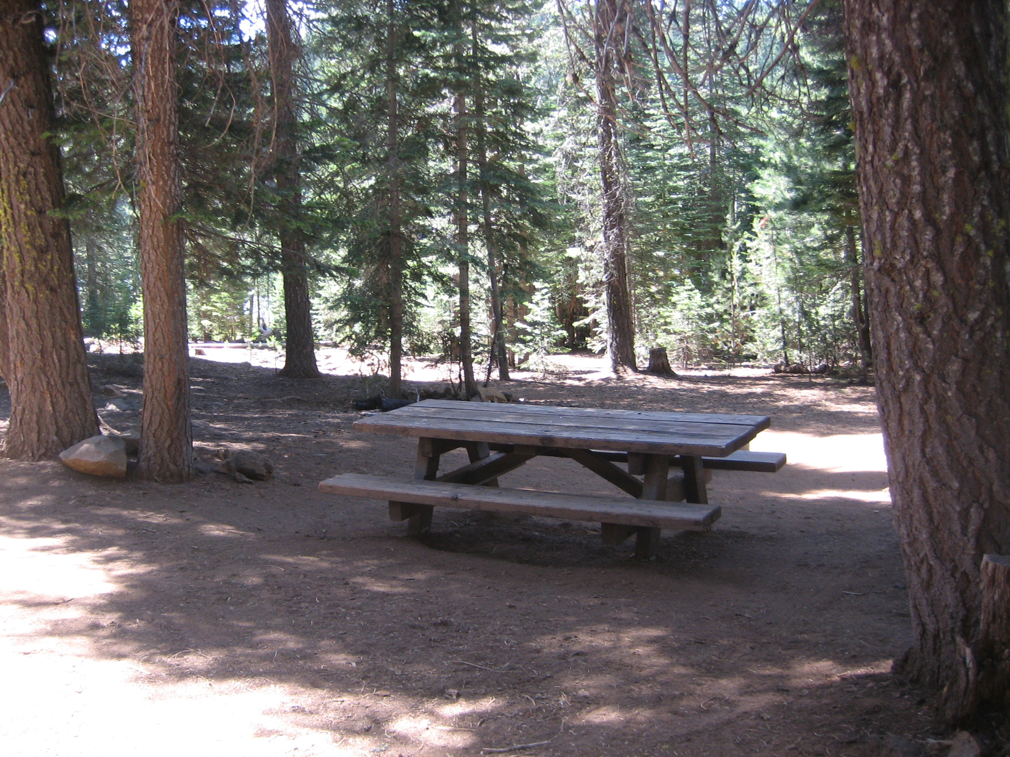 Picnic tables and fire rings
