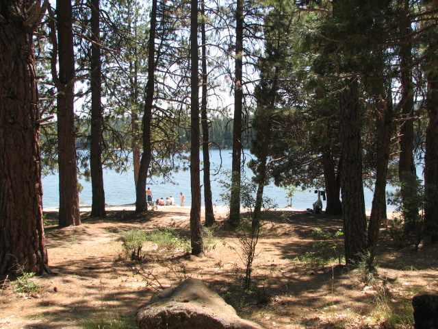 Swimming in Lake Britton