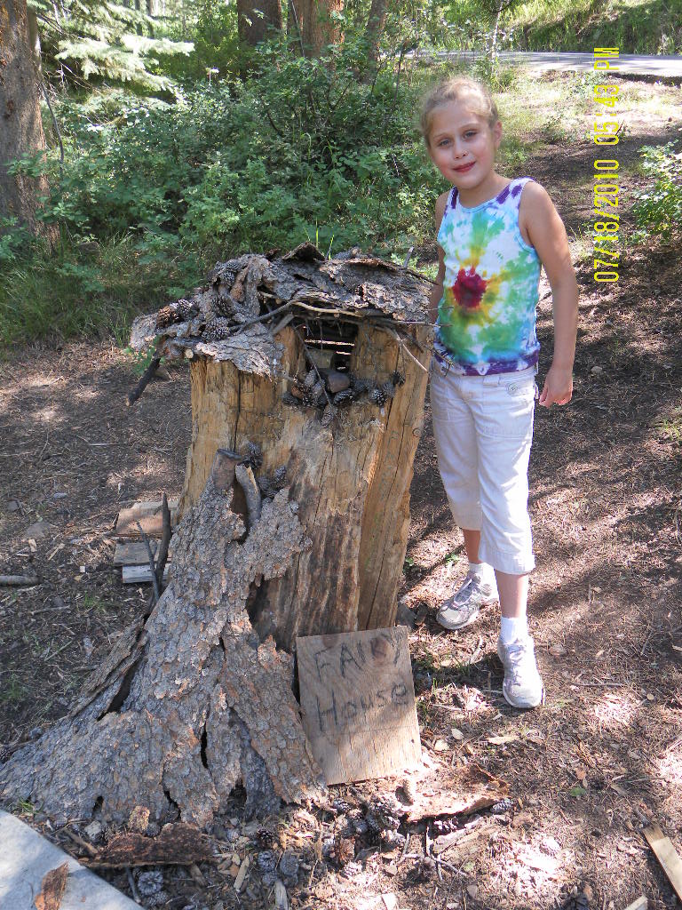 The forest is full of creative materials for children