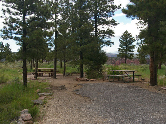 Picnic tables and fire rings provided