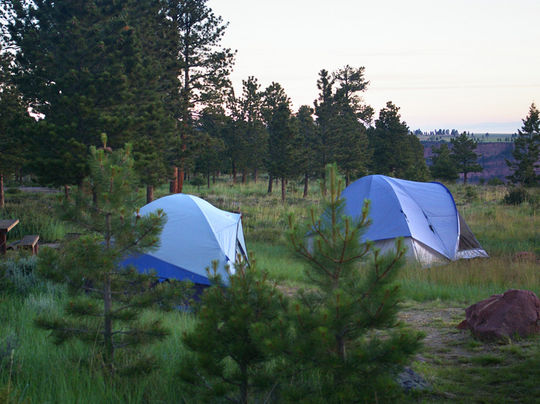 Tent friendly camping