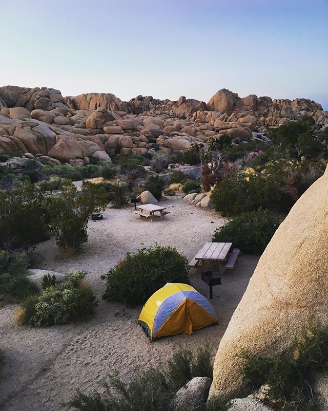 Sunset at Jumbo Rocks. ⛺️🏜🌄