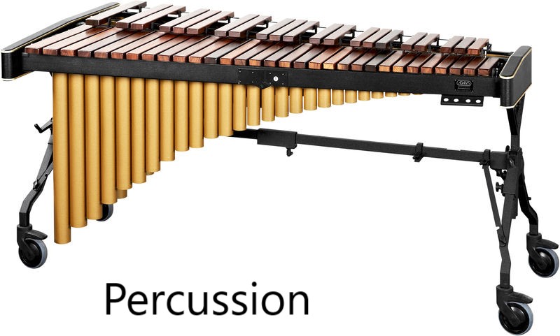 Percussion.jpg