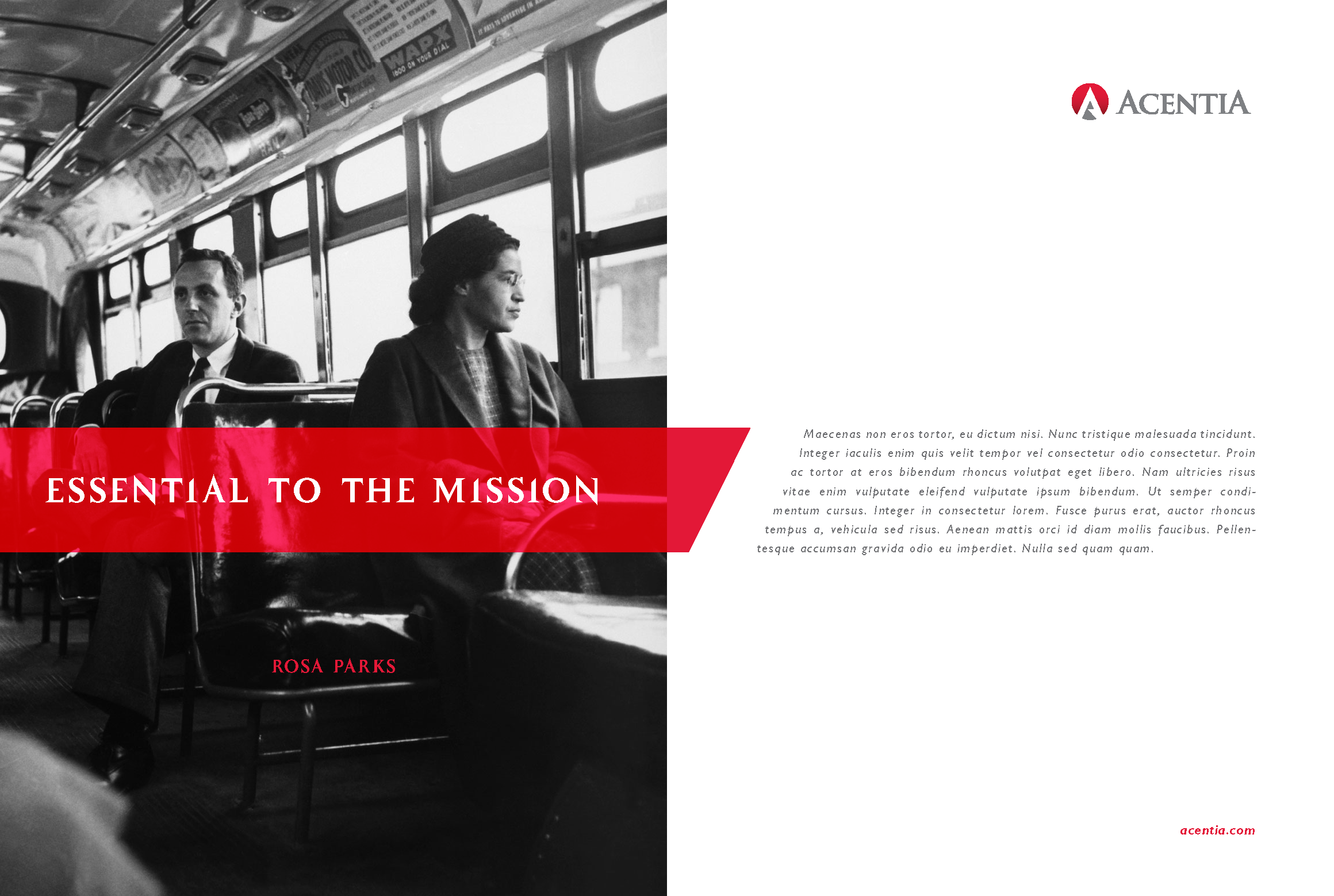 Acentia_Icon_Series-1_Page_08.png