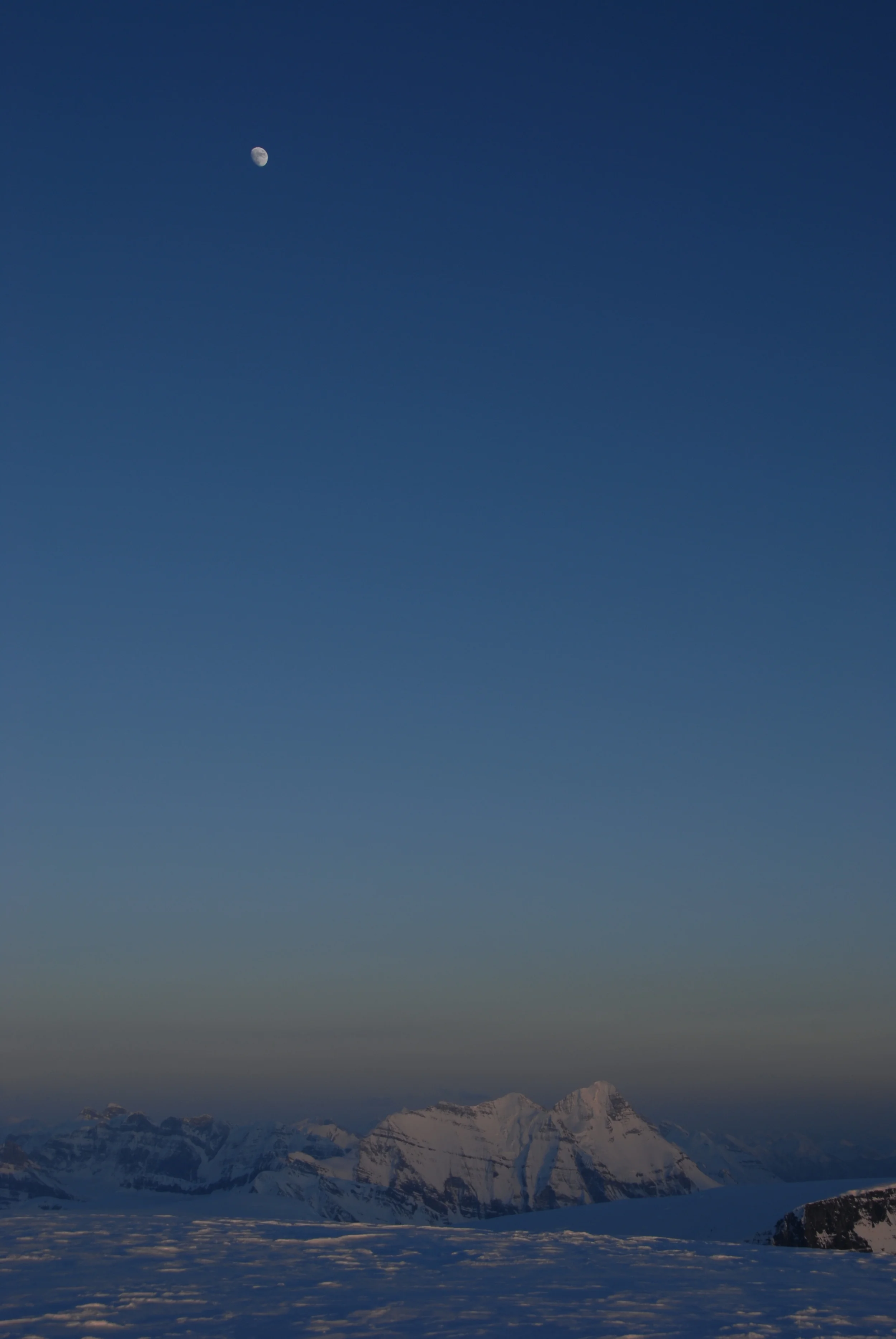Copy of DSC_0198.jpg