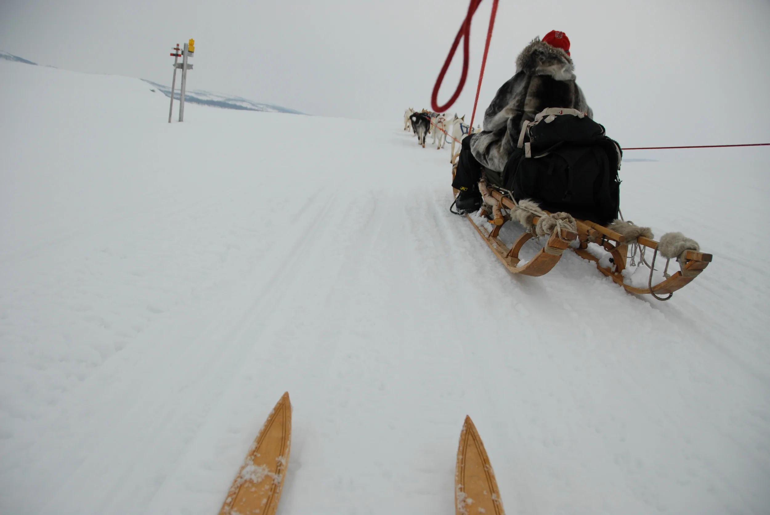 DSC_0065.JPG