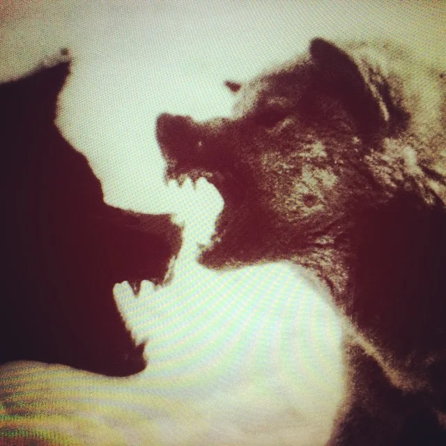 Bloodlust of the wolf (2015) Performed by about.theWindow, this is a work of live cinema in collaboration with Simon Tarr .