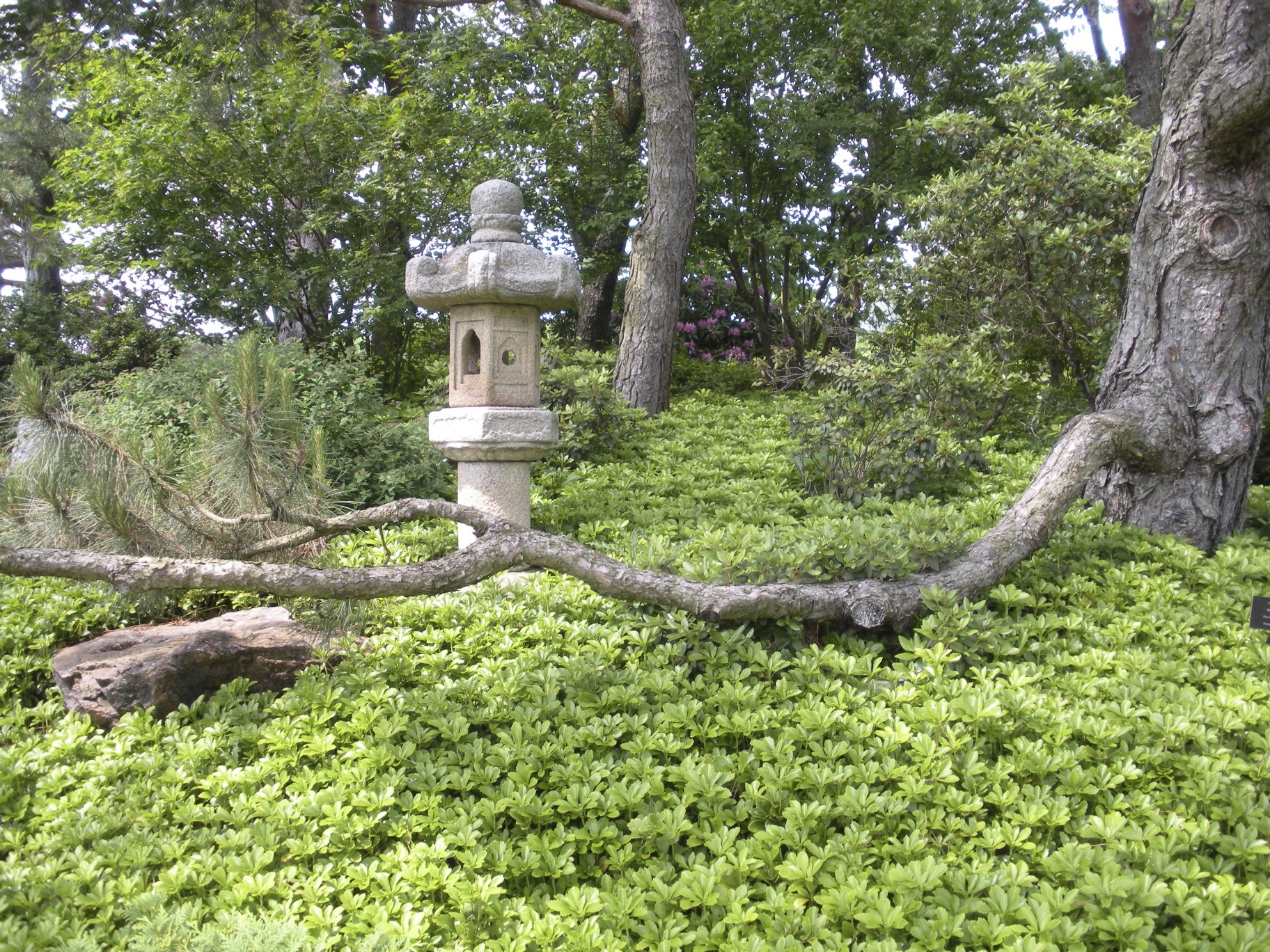 DSCN0195.jpg