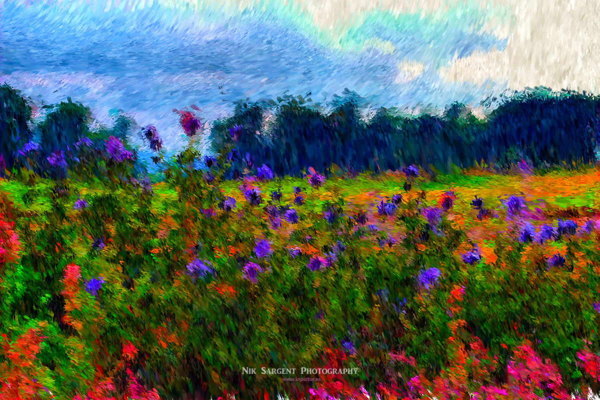 CRW_3866-hdr-v3_Painting-LR.jpg