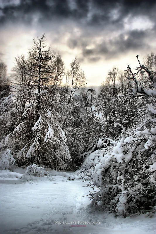 9390-hdr-tfn-LR.jpg