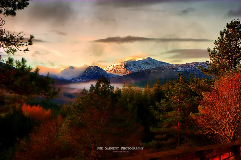 CRW_0447-hdr-nr-v1-tfn-LR.jpg