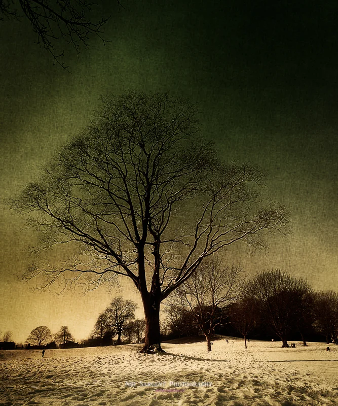 ely winter-0189-Edit-LR-LR.jpg
