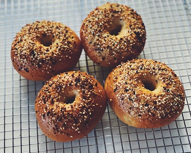 We&rsquo;ve been making bagels every Saturday for many weeks now and I think I&rsquo;ve finally reached peak bagel 😅