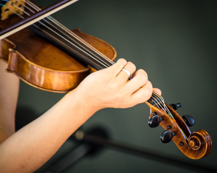 Violin Concert