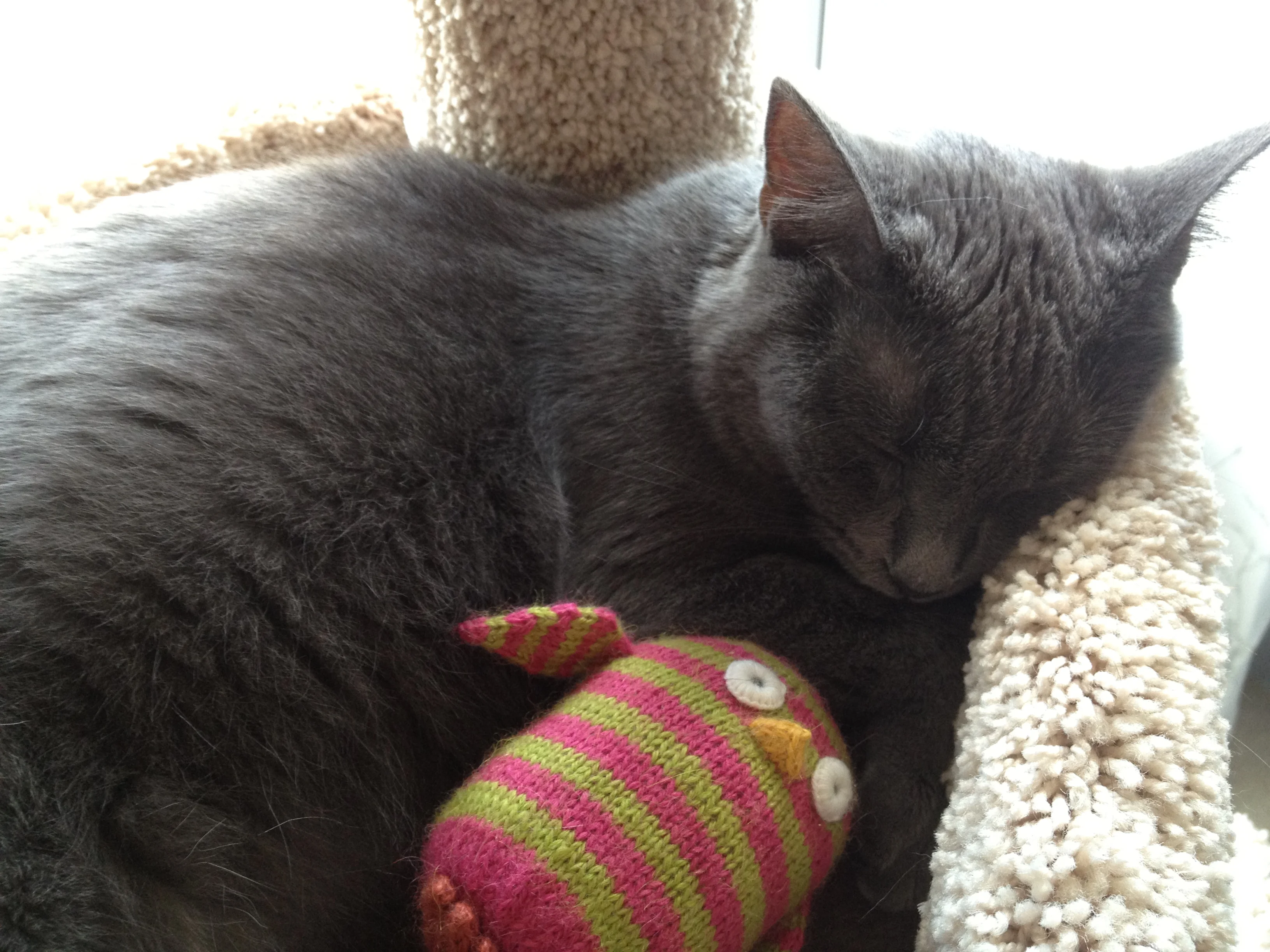 Lacassedesign.com 2.0