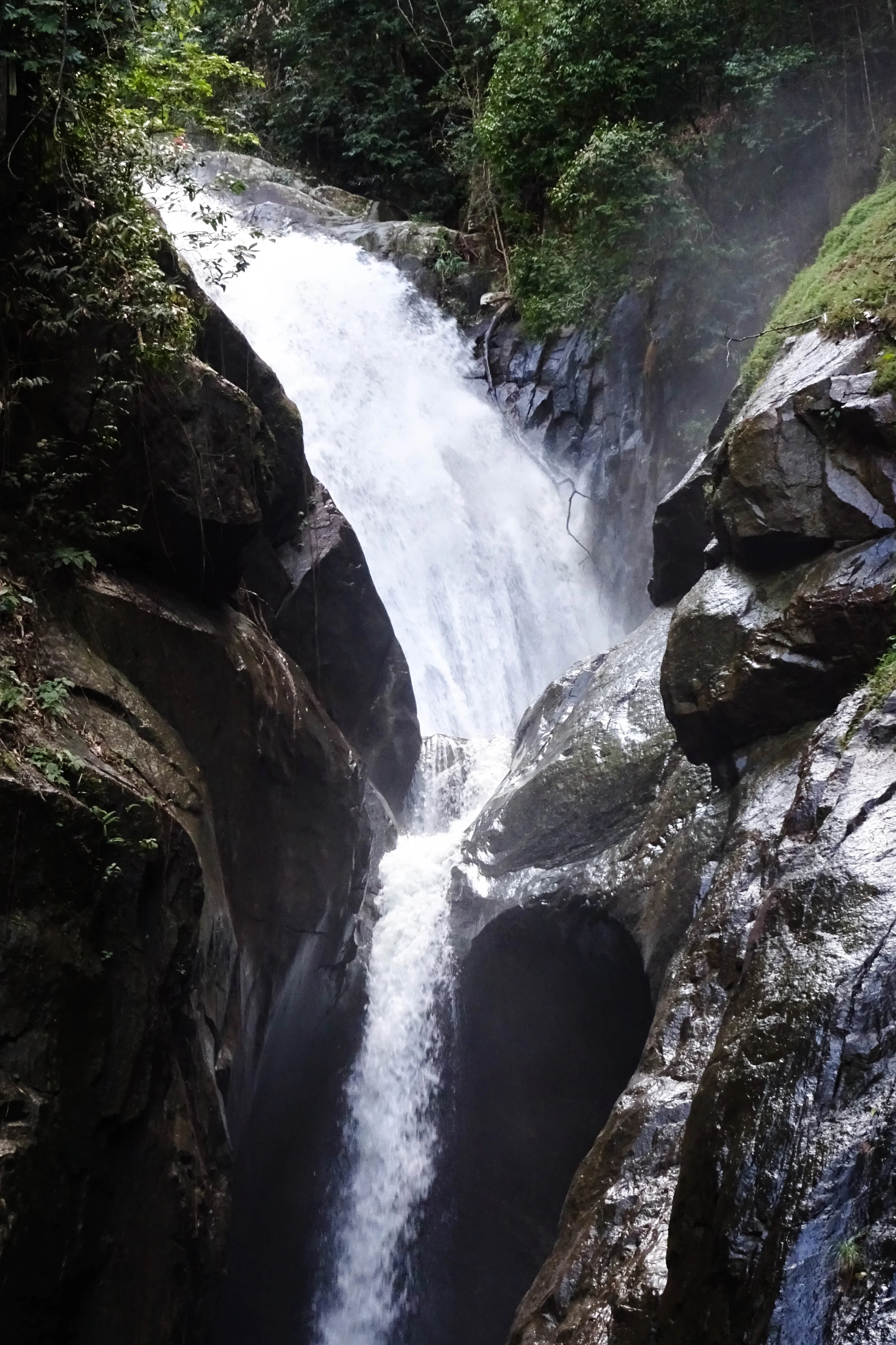 DSC05094.jpg