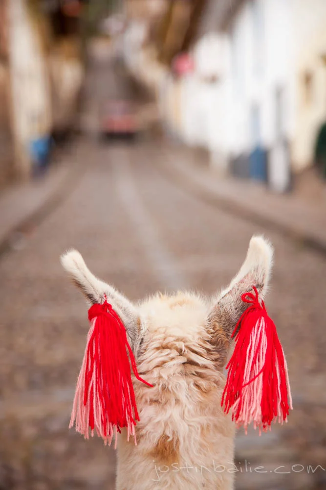 jbailie-cusco-2012-9601.jpg