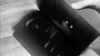 31ft.gif