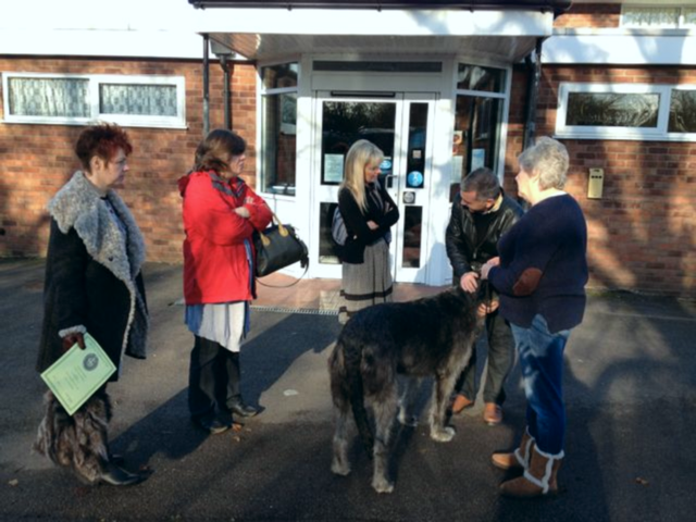 Liz Thorton (Mochrashounds) spoke at the The Irish Wolfhound Club Educational Seminar 