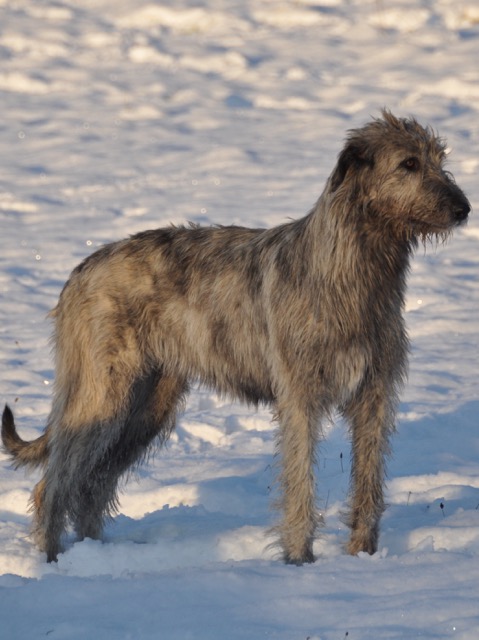 DSC_0293.jpg