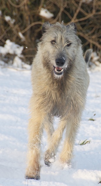 DSC_0153.jpg