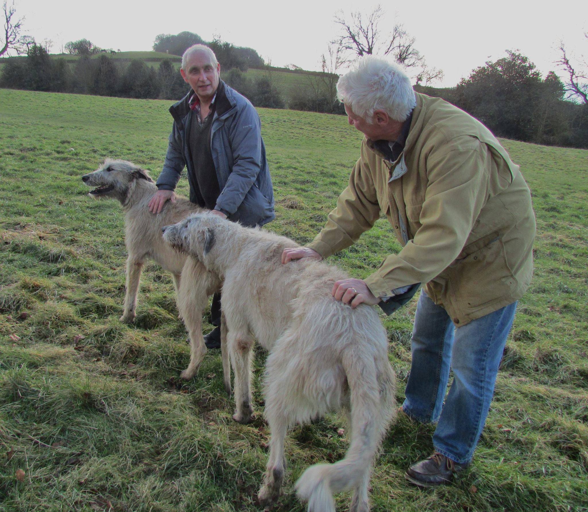 The united family of Bonaforte ………….. www.bonaforte.com