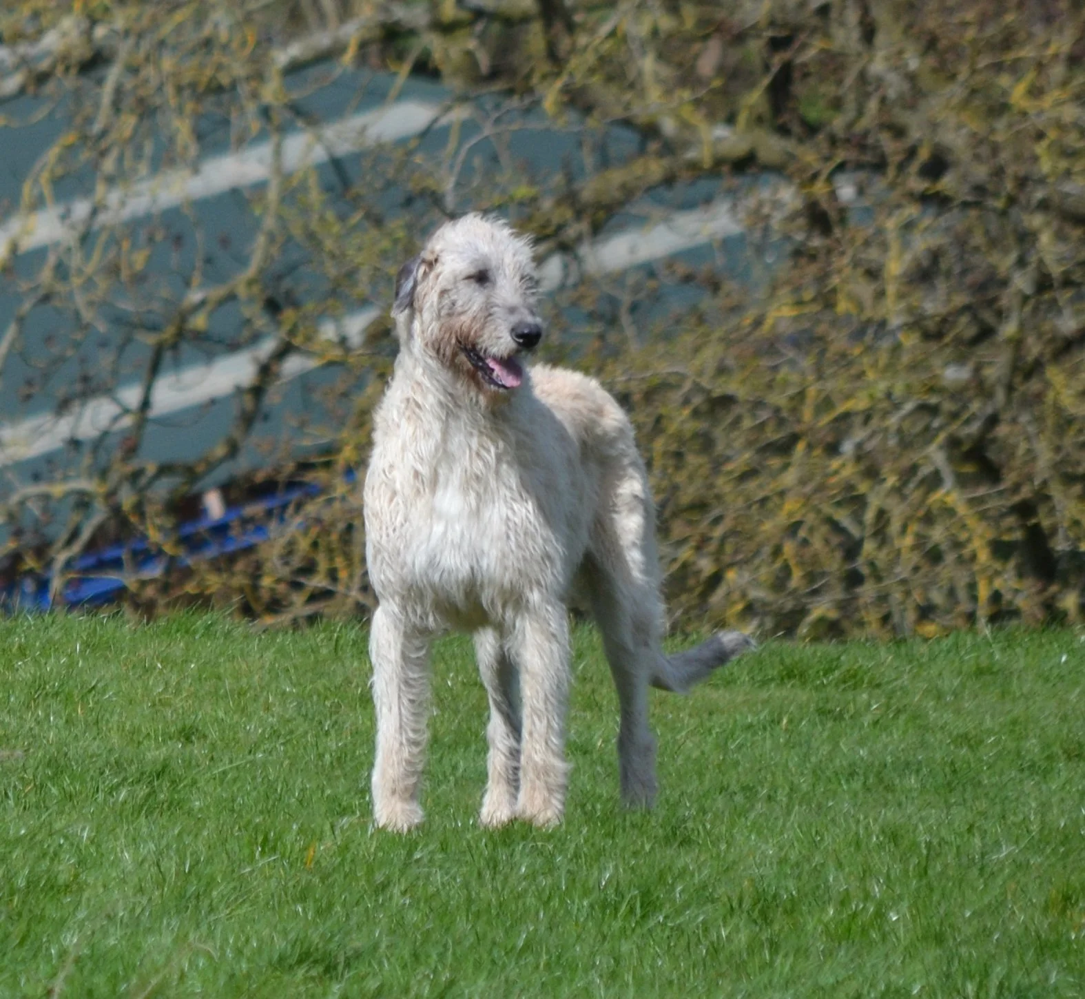 Dsc_5253.jpg