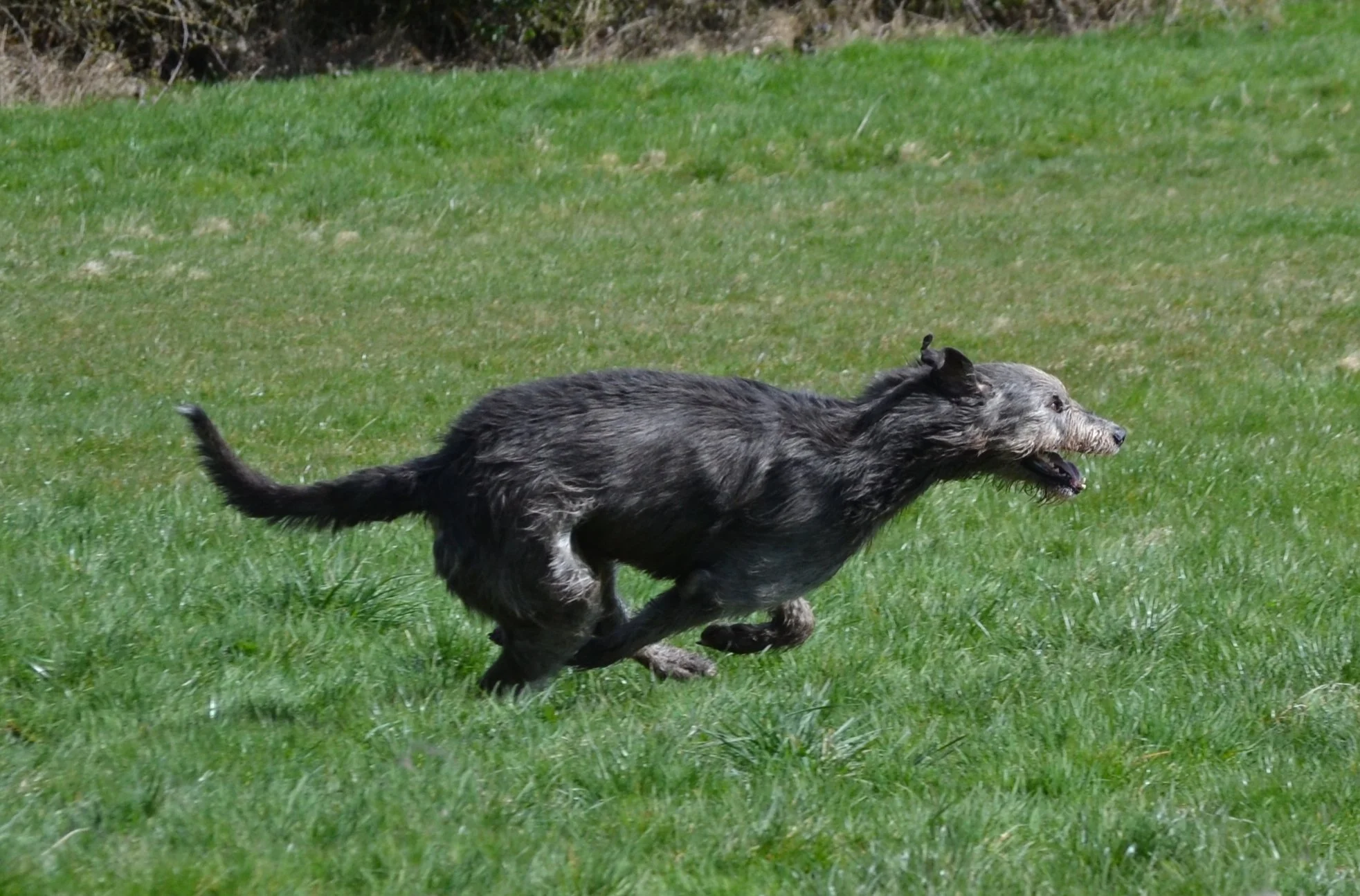 Dsc_5271.jpg